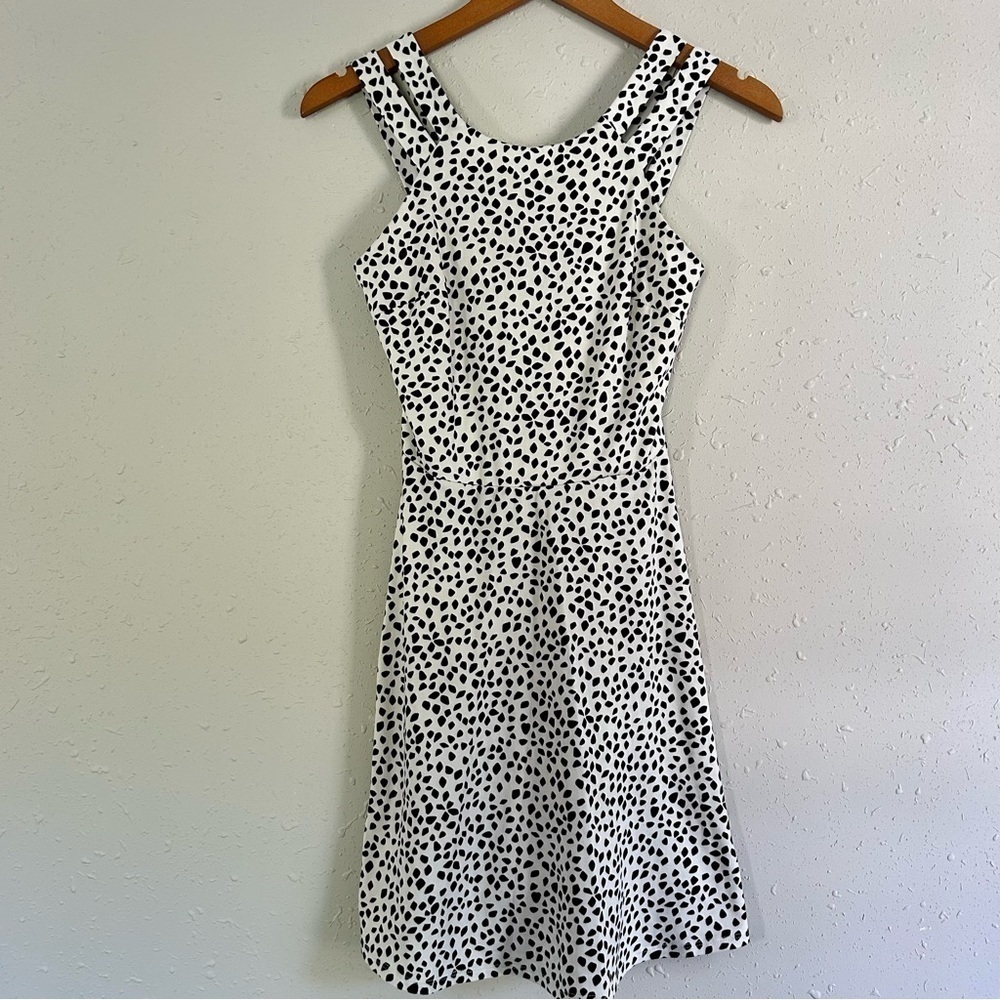 🦋 IZ Byer Black White Halter Neck Fit and Flare Mini Dress Small
